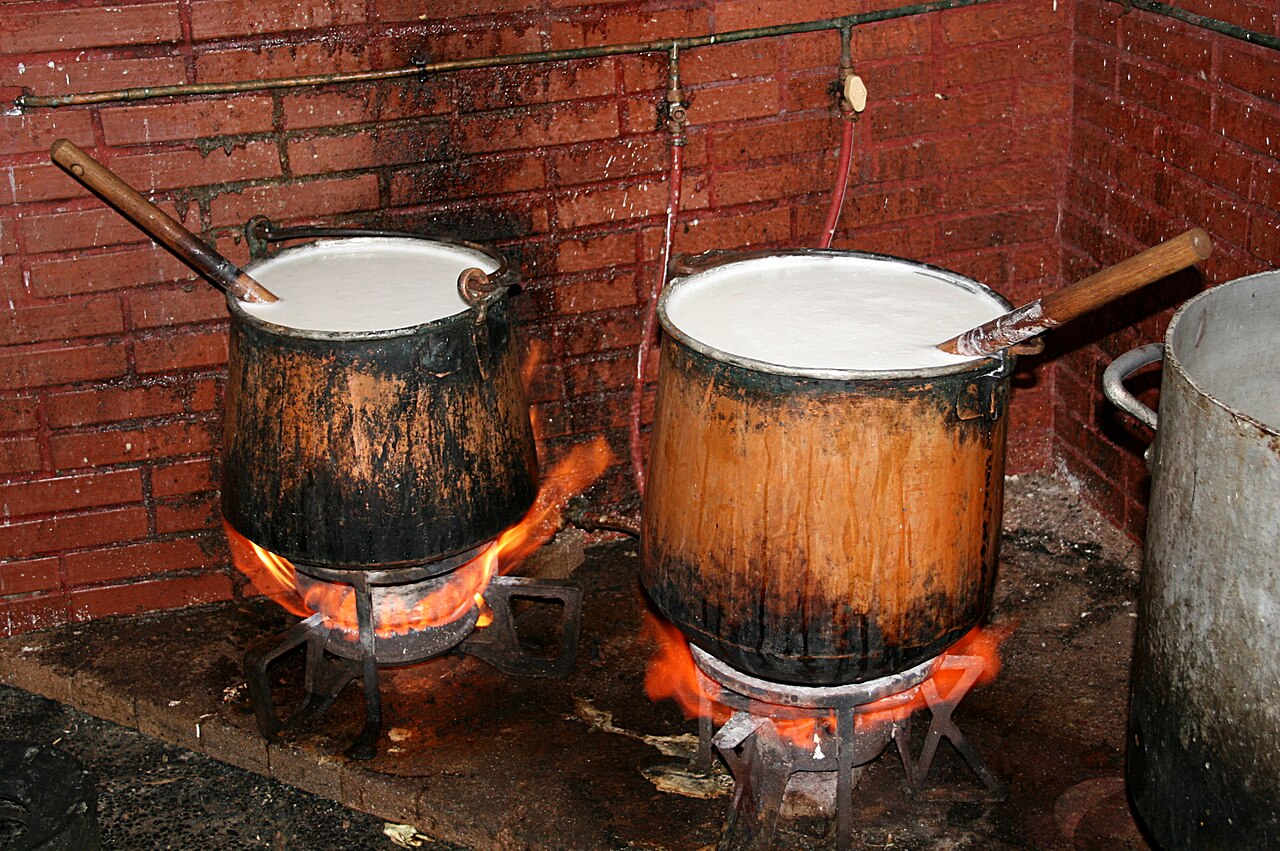 Traditionele bereiding van brocciu