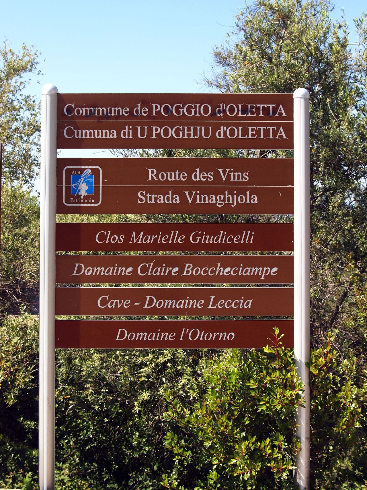 Wijngaarden op Corsica